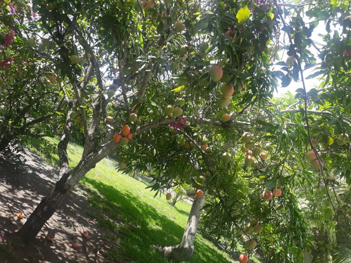 Refugio Das Bouganvillea Igarassu المظهر الخارجي الصورة